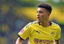 Alcacer says Dortmund team-mate Sancho can become one of world’s best