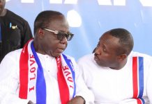 Names of the 51 female aspirants contesting in NPP’s primaries