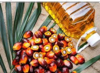 Government set to license oil Palm business in Ghana