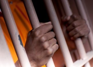 3 thieves get five-year jail term in hard labour