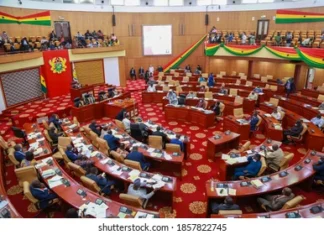 PARLIAMENT CONDEMNS THUG ATTACKS IN THE COUNTRY